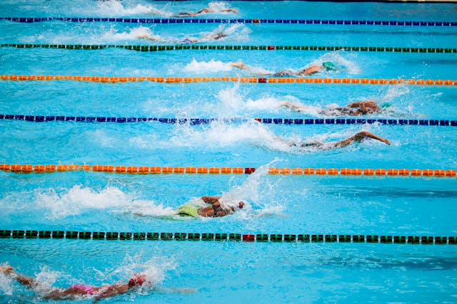 Compétition de natation